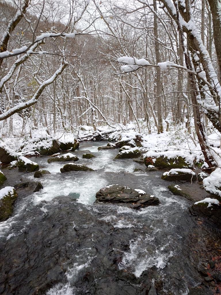 雪化粧の十和田、奥入瀬渓流へ｜Web eclat（ウェブエクラ）