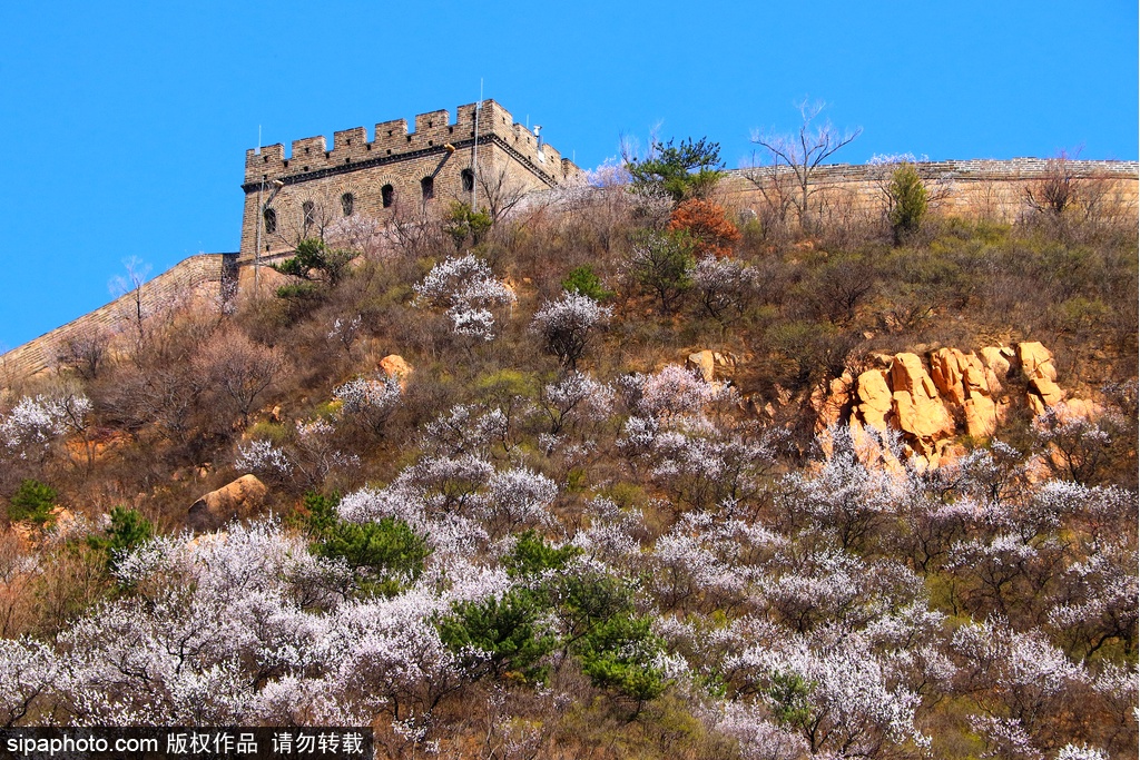 万里の長城の春夏秋冬、四季折々の美しい景色が心を揺さぶる