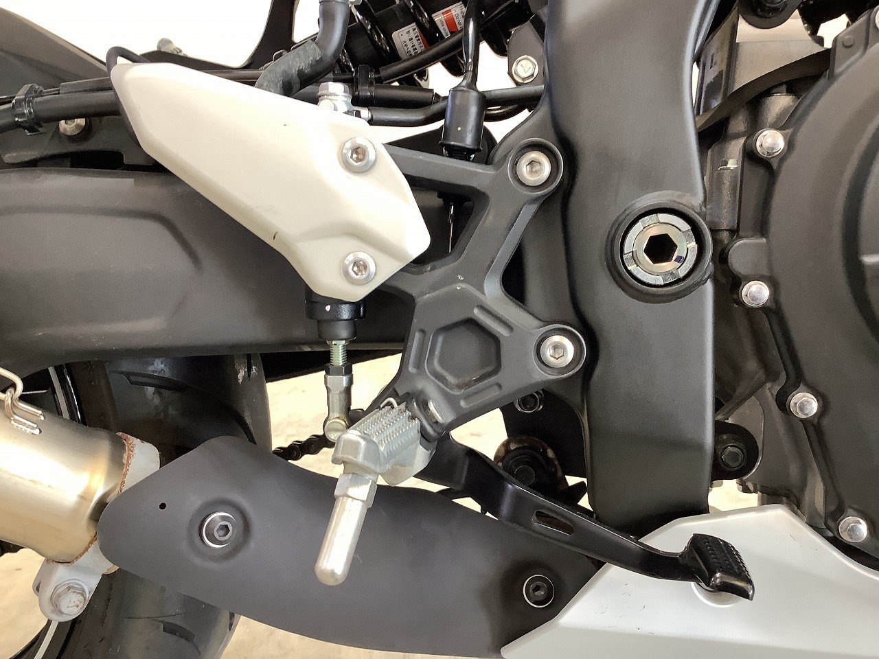 24532374.jpg?resize=600,450,ffffff