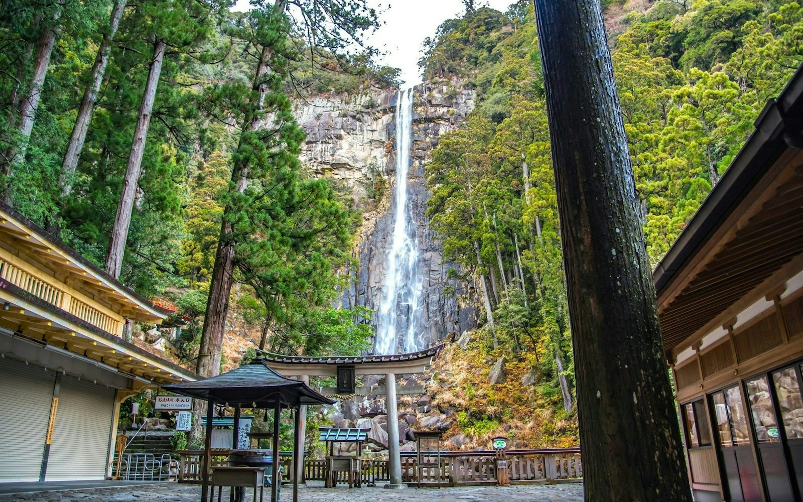 ebe8ccf813e7d0119925763d9fc5f5