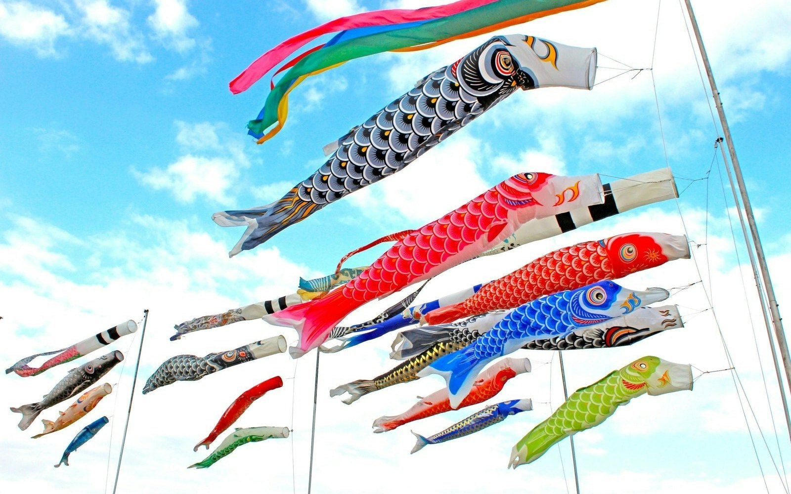 日本有数の鯉のぼりの街・埼玉県加須市で作られる豪華絢爛な鯉のぼりの