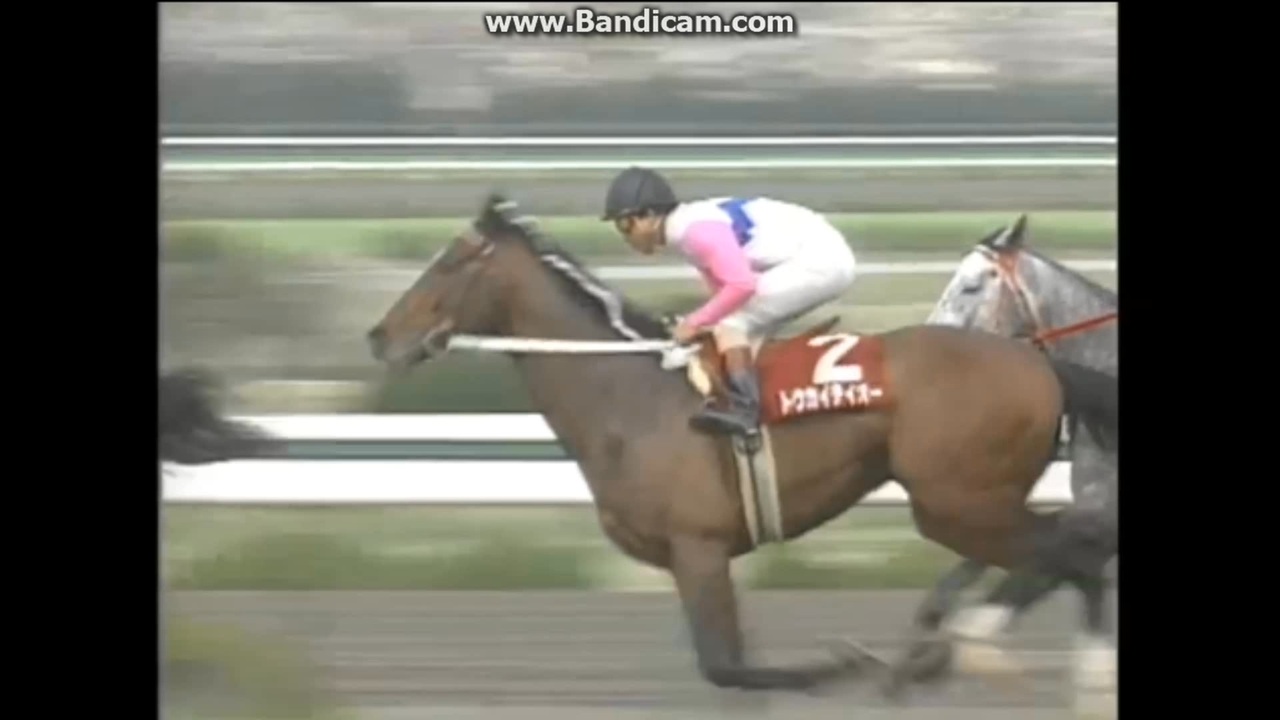 1992 産經大阪杯 (GII) トウカイテイオー - ニコニコ動画