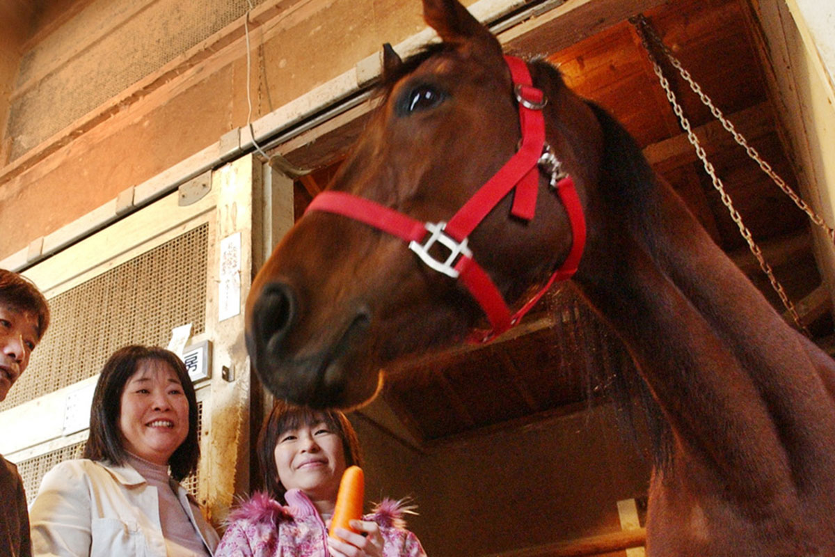 高知競馬 ハルウララ号 根付け #1 高知競馬 ハルウララ号 根付け #1