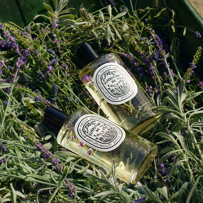 DIPTYQUE】夏の果樹園をイメージさせる香り…新作フレグランス・ボディ