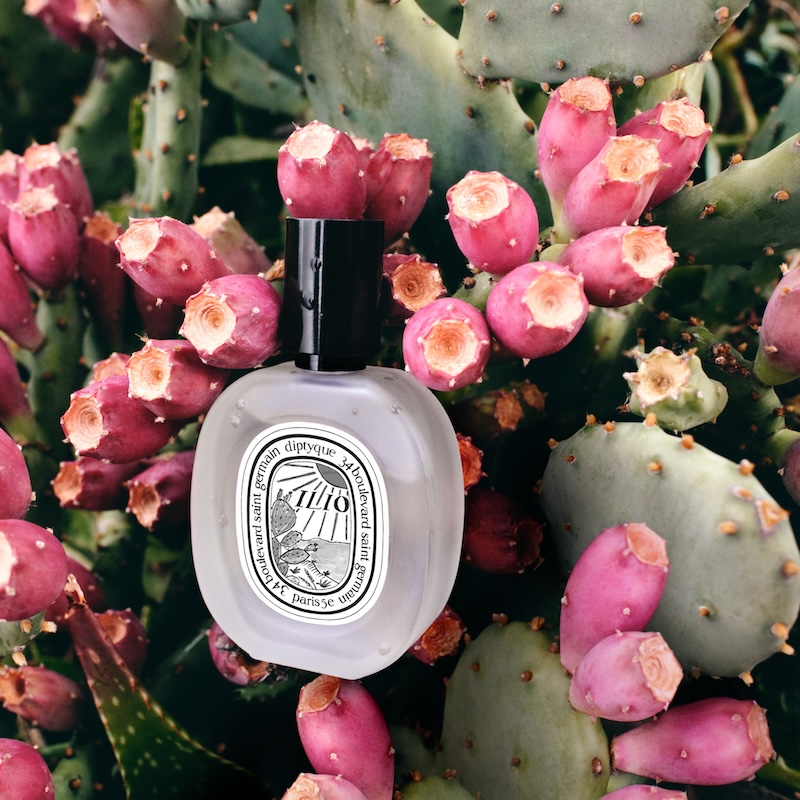 dyptyque ハンド&ボディウォッシュジェル シトロネル&ゼラニウム