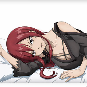 AmiAmi [Character & Hobby Shop] | FAIRY TAIL Hugging Pillow Cover