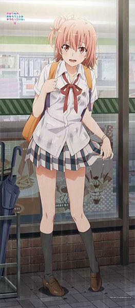 やはり俺の青春ラブコメはまちがっている。完 描き下ろし BIG