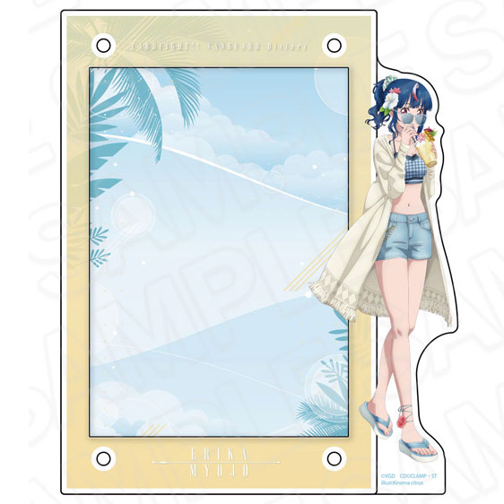 カードファイト！！ ヴァンガード Divinez デラックス決勝編 アクリル