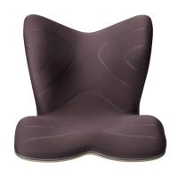 MTG Style PREMIUM スタイルプレミアム 腰痛 骨盤 姿勢 | イオン