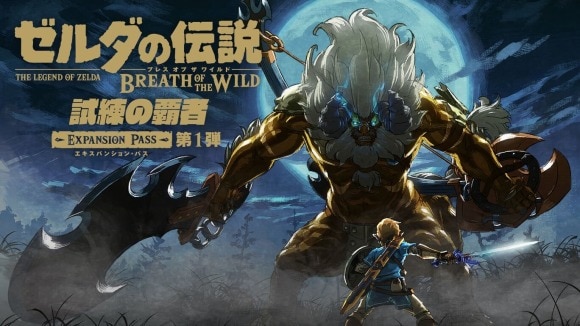 ゼルダの伝説 ブレスオブザワイルド(追加コンテンツ) ティアーズオブザ