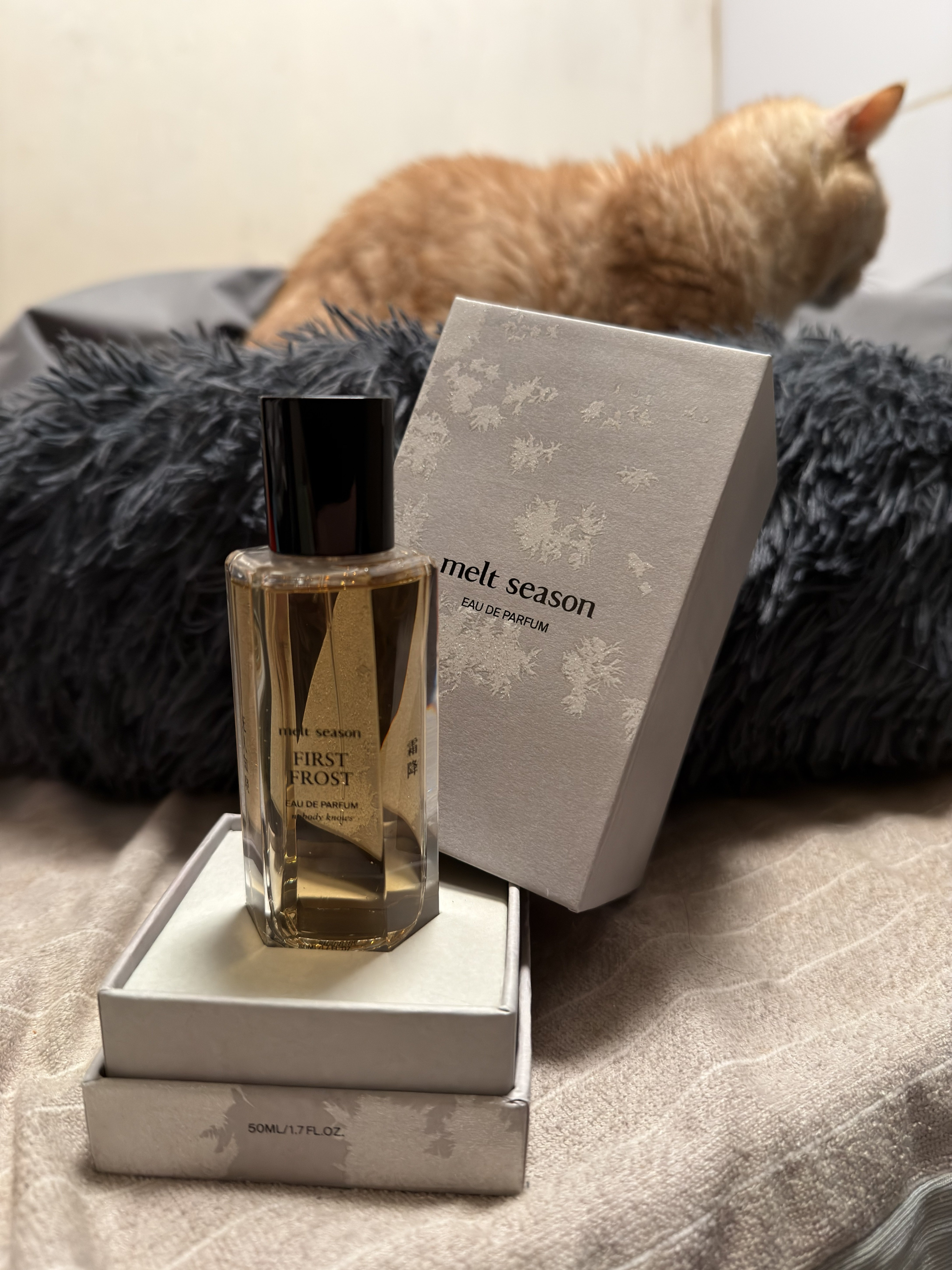 难哄联名款柚见香水melt season经典EDP 适用通勤中性香氛产品