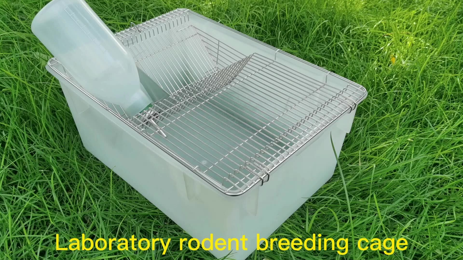 O1CN01T35utv1vgZ61MLS33_!!