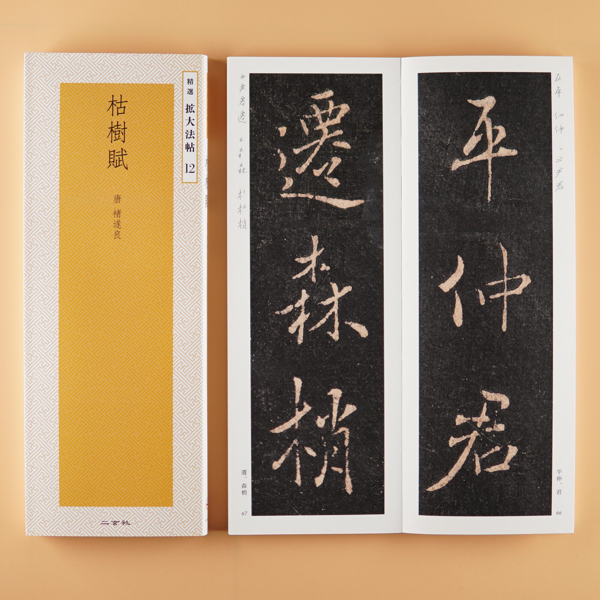 原色法帖選1.3.10.11卷 原色法帖選21～30 二玄社 書道 10冊 二玄社