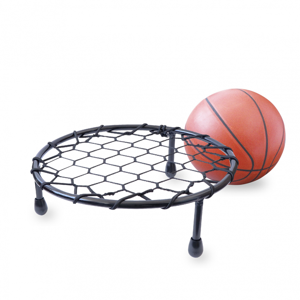 ティゴラ ドリブルネット バスケットボール 練習器具 TIGORA｜Alpen