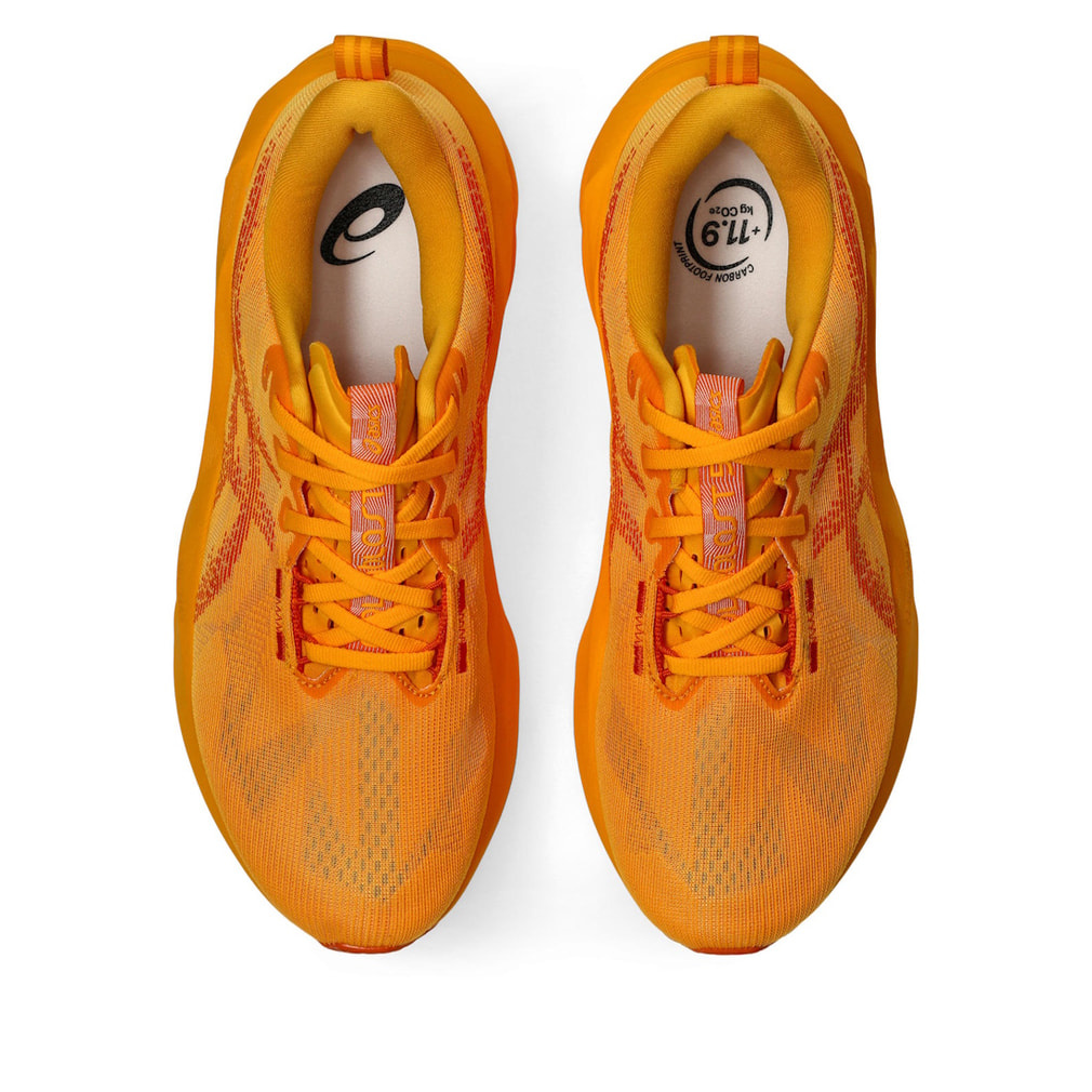 アシックス NOVABLAST 5 ノヴァブラスト5 限定カラー 1011B974 メンズ