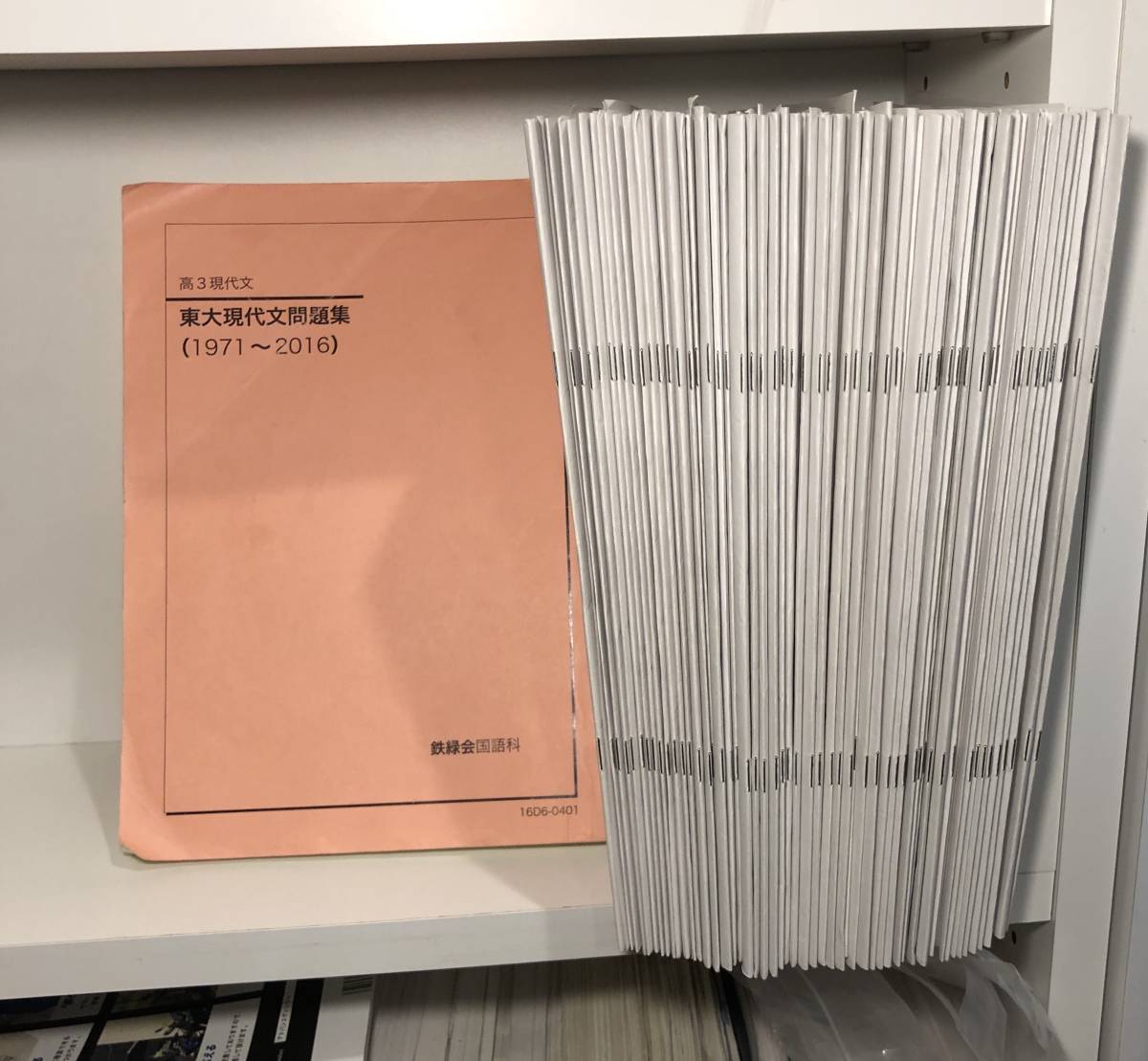 駿台 東大現代文 現代文特講 2024/林修・中野芳樹 解答集 東大特進 林
