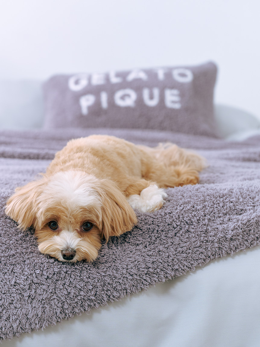 Sleep】ジェラート マルチカバー(ブランケット・タオルケット)｜ルーム