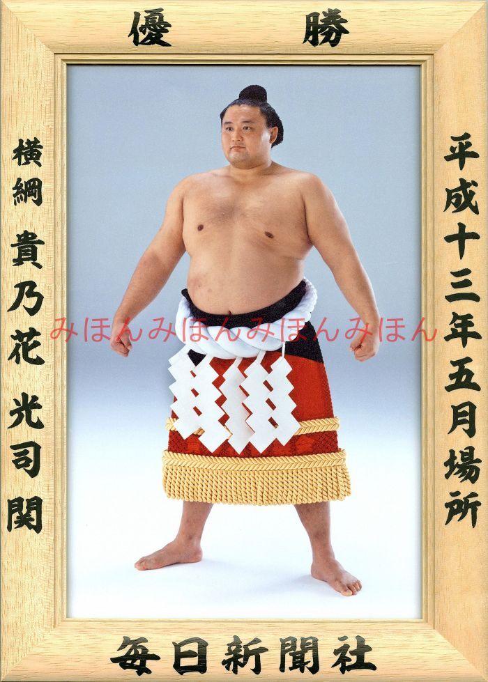 貴乃花光司関 優勝ミニ額 大相撲ミニ額 大相撲優勝額 平成13年5月