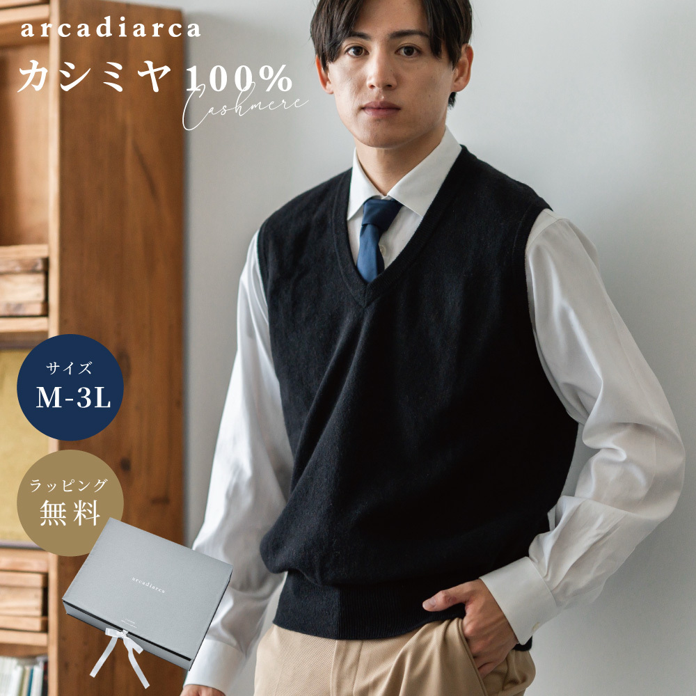 アルカディアルカ arcadiarca カシミヤ100% Vネックベスト メンズ M