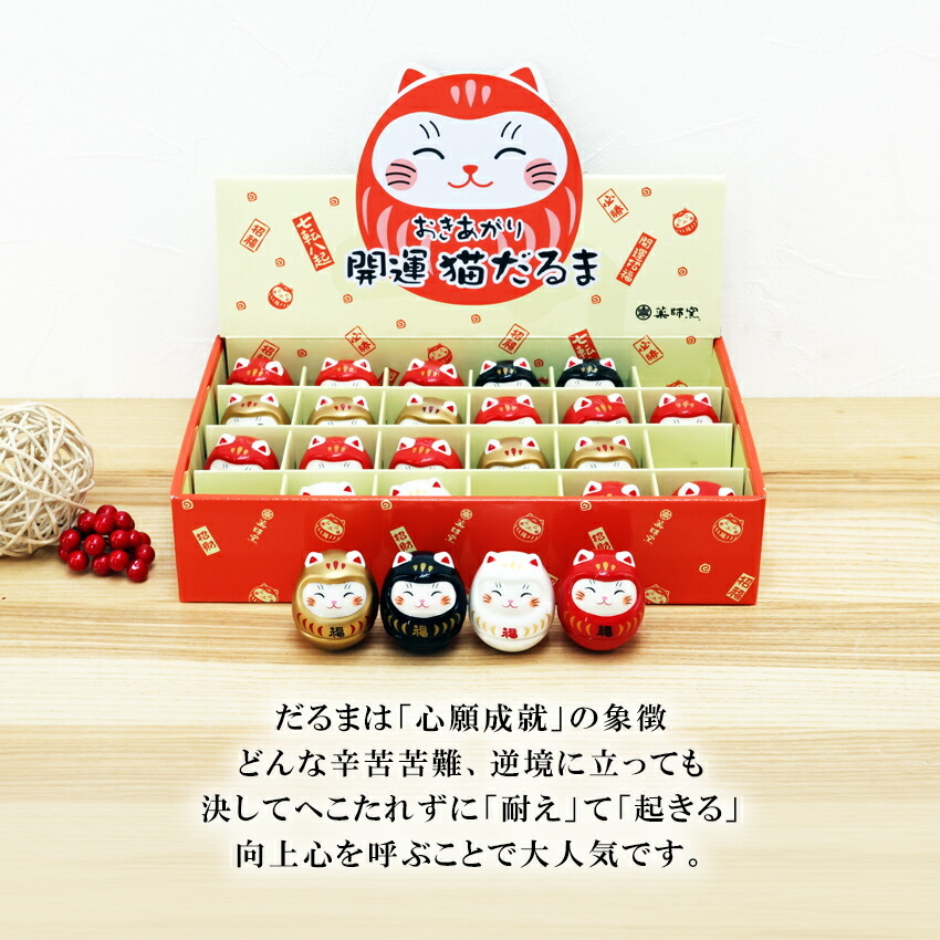 だるま ダルマ 置物 陶器 あきあがり開運猫だるま ディスプレイセット