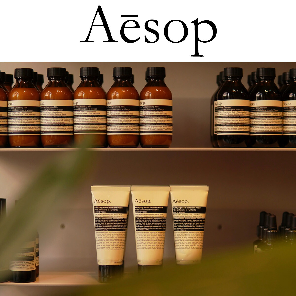 イソップ ギフト Aesop アンドラム エクスペリエント ハンドジェル