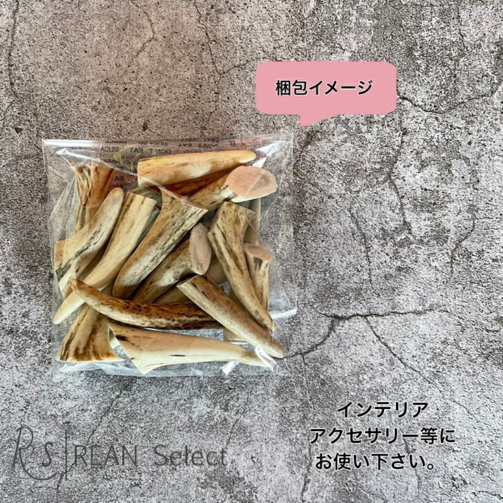 無添加品】鹿の角 5cm前後を100g分セット☆ アクセサリー用 パーツ
