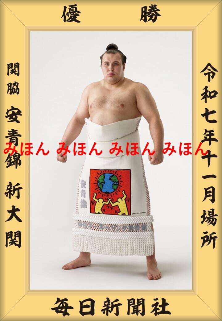 安青錦 新大 関 優勝ミニ額 大相撲ミニ額 大相撲優勝額 令和7