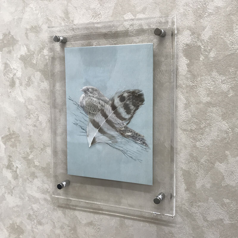 アクリルフレーム A3サイズ 297×420 額縁 壁掛けフォトフレーム