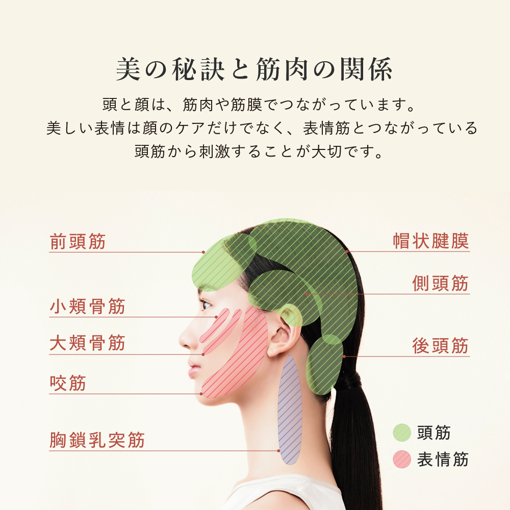 ラッピング無料＆送料無料】アテックス ルルド ルルドボーテ EMSリフト