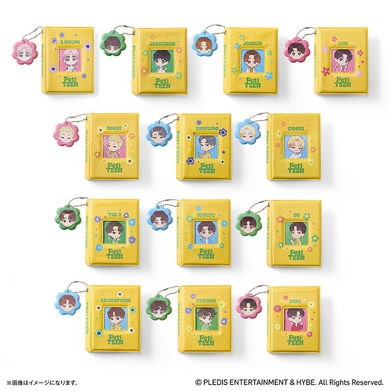 SEVENTEEN グッズ 通販 PetiTEEN フォトホルダー SEUNGKWAN スングァン