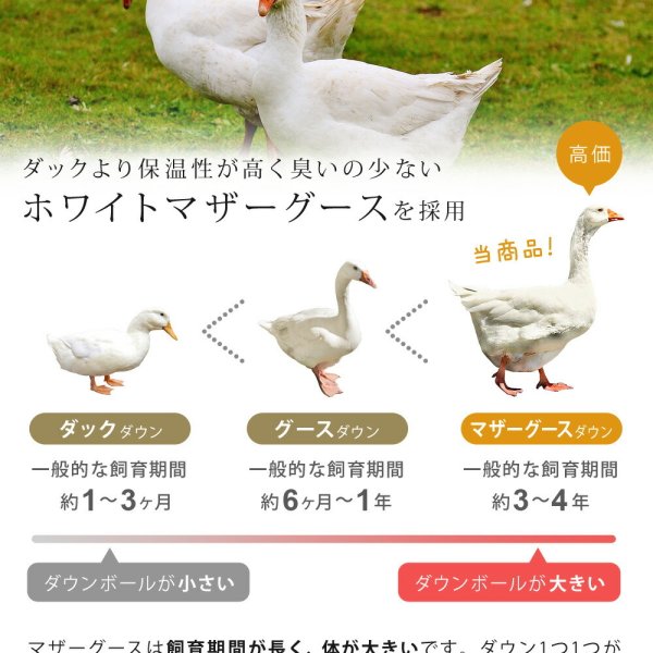 羽毛布団 キング マザーグースダウン 95% 増量2.1kg 440dp以上 1年保証