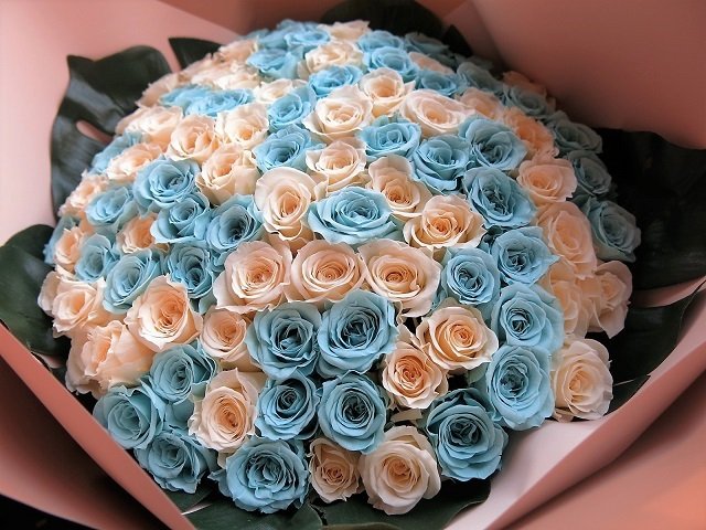 プロポーズ 彼女 水色バラ 白バラ 2種100本 花束 枯れない