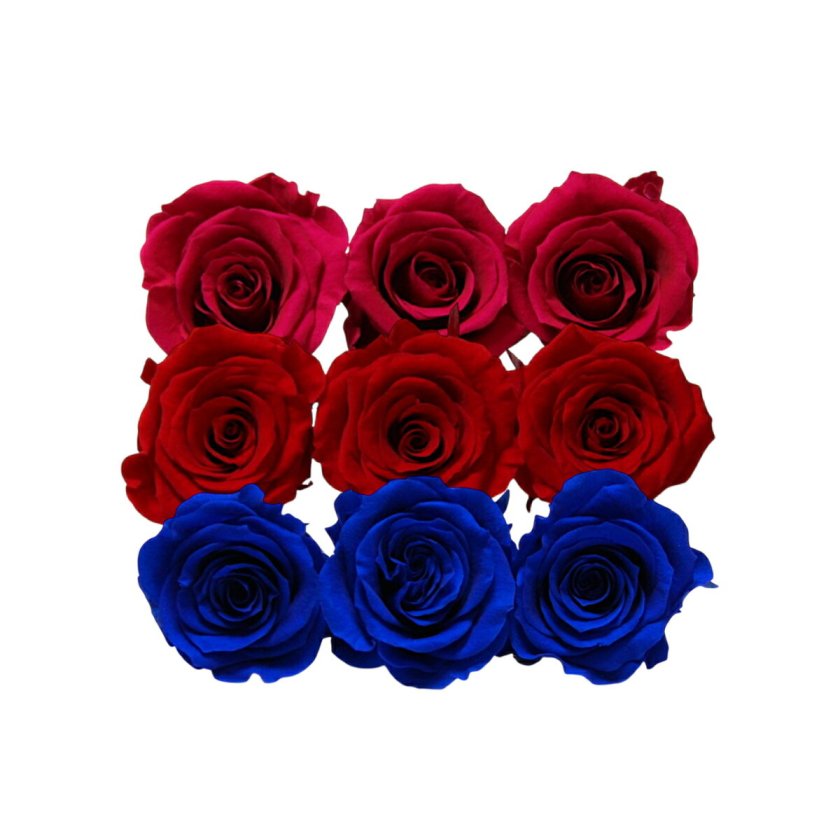 大地農園 「ローズかのんM 3色×3輪アソート 計9輪」 「ディープルビー