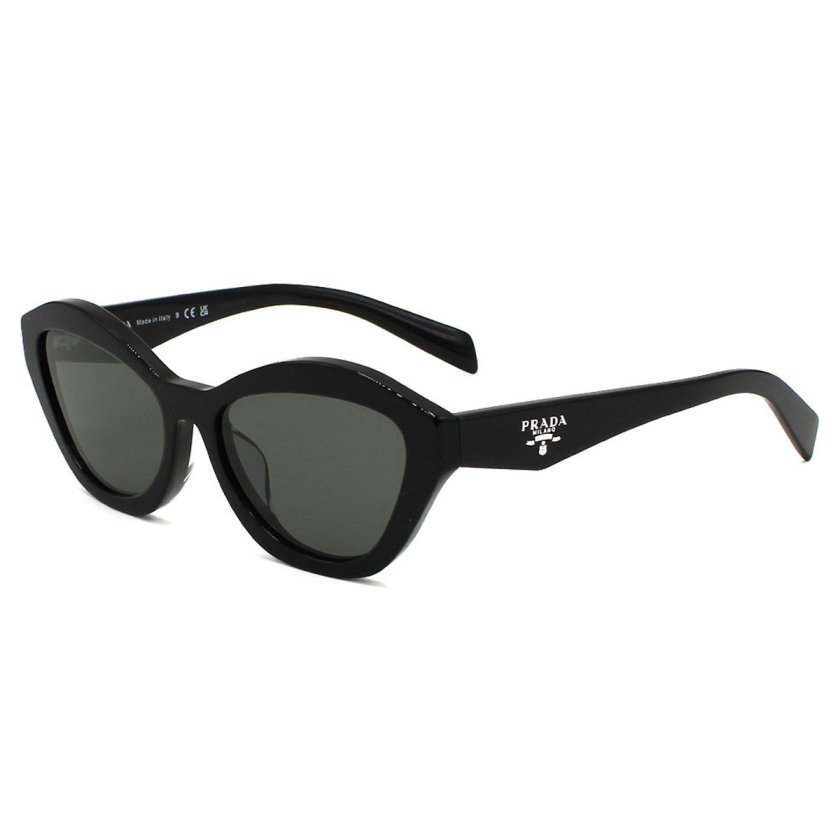 プラダ PRADA サングラス アイウェア フォックス 0PRA02SF 16K08Z 55