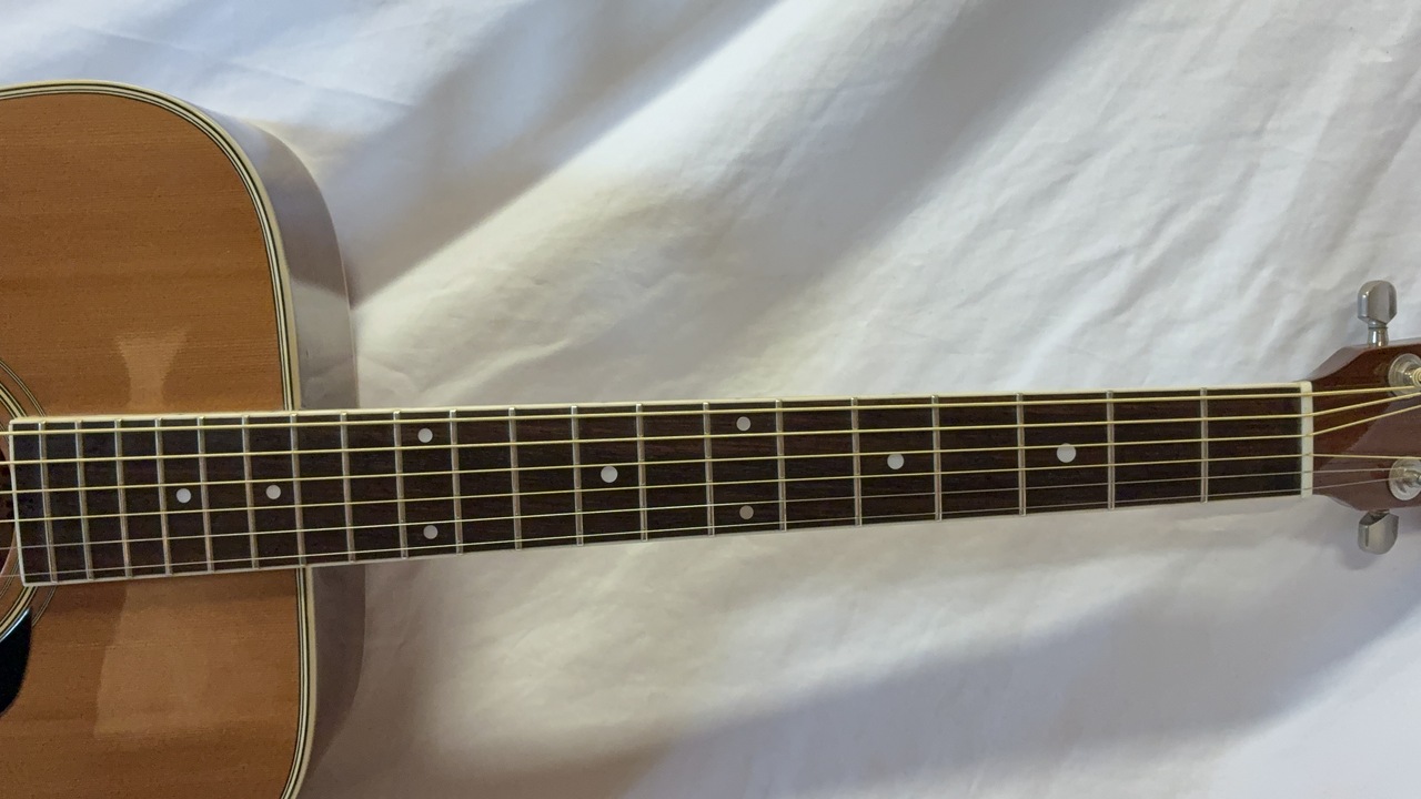 Morris WS-30E（中古）【楽器検索デジマート】