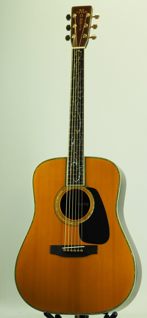 Morris TF-820(管理番号4962)（中古/送料無料）【楽器検索デジマート】