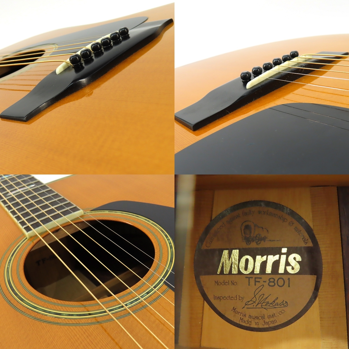 Morris TF-801（中古/送料無料）【楽器検索デジマート】