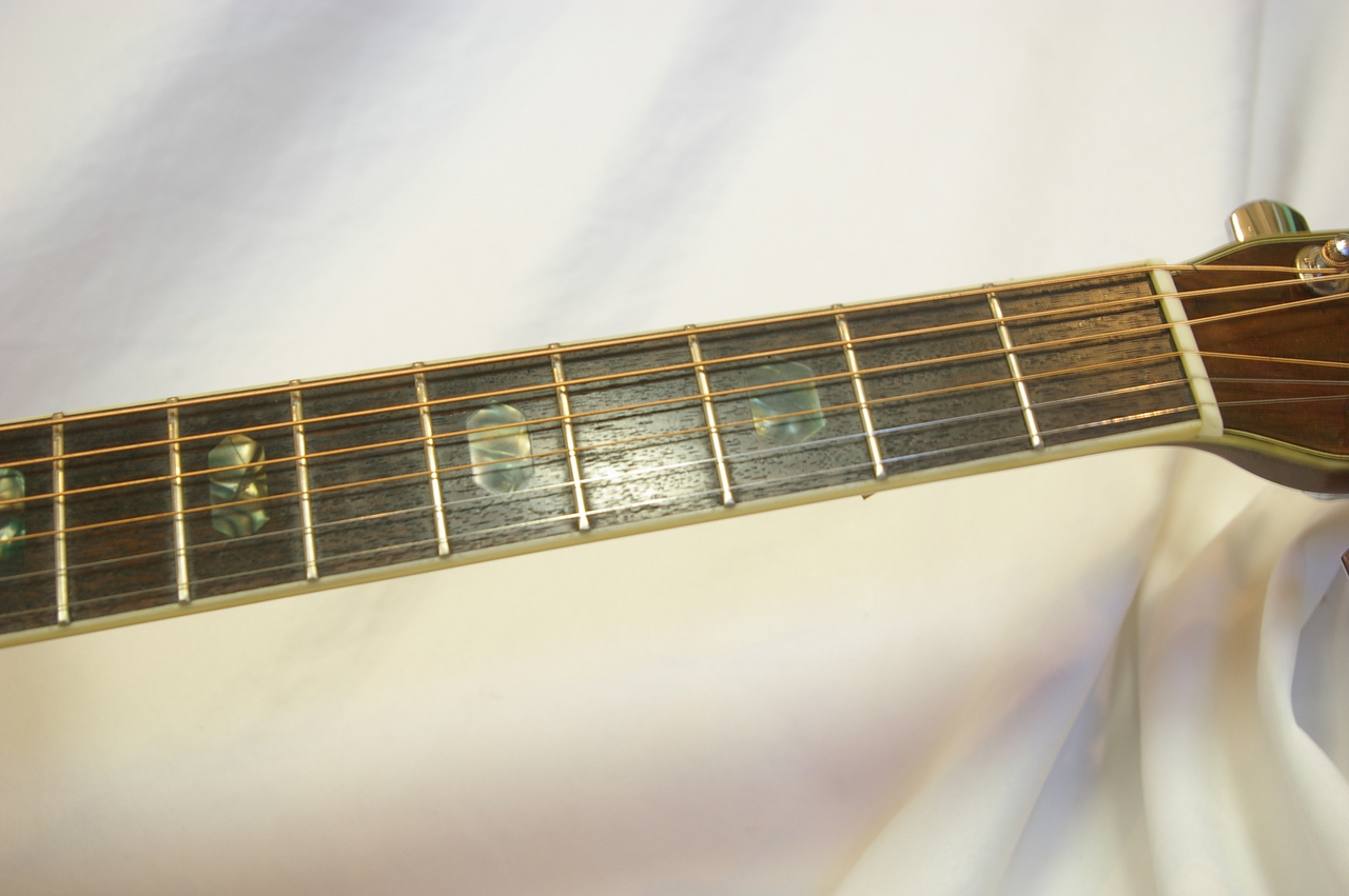 Morris W-40（中古）【楽器検索デジマート】