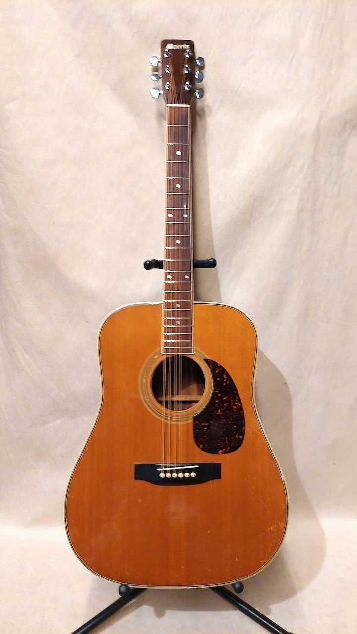 Morris Morris Special 35（中古）【楽器検索デジマート】