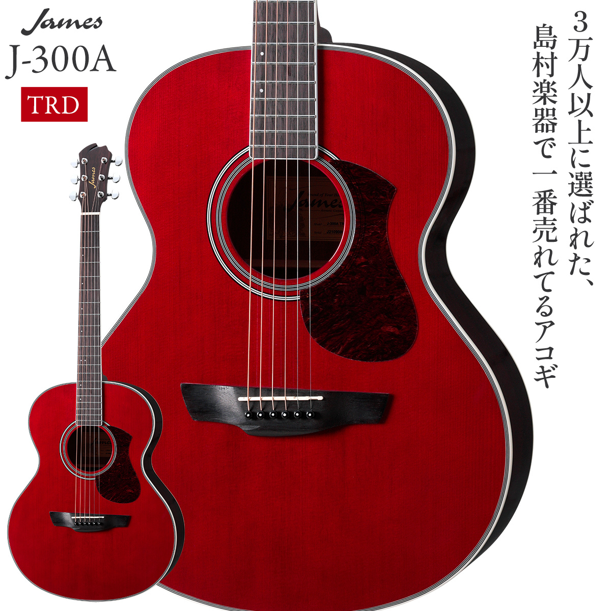 James J-300A TRD 【アコースティックギター】（新品/送料無料）【楽器