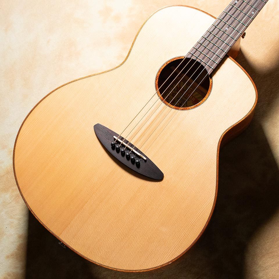 aNueNue aNN-LF23E（新品/送料無料）【楽器検索デジマート】