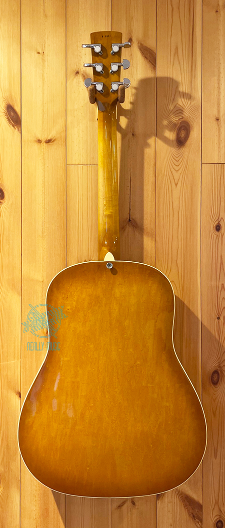 Greco D-80P（中古）【楽器検索デジマート】