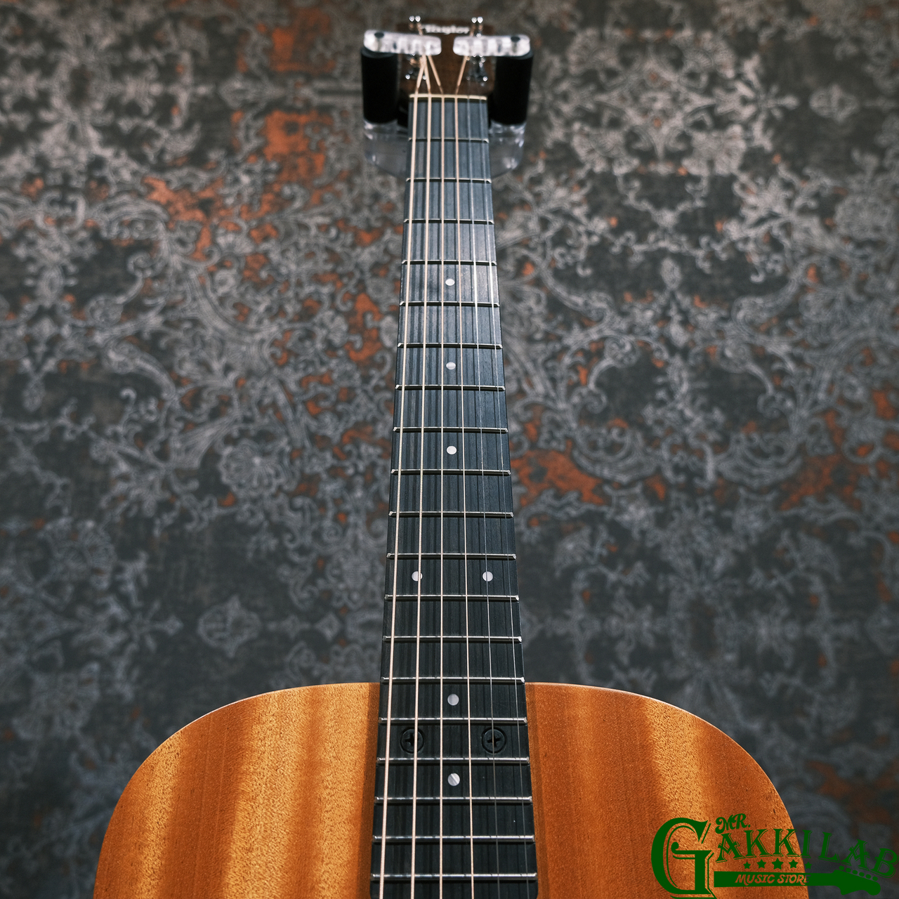 Taylor Baby Taylor Mahogany BT2 (Baby T)【ミニギター】（新品