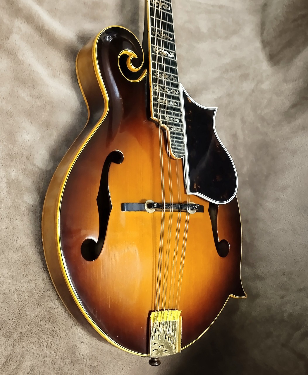 BlueBell F-10（中古）【楽器検索デジマート】