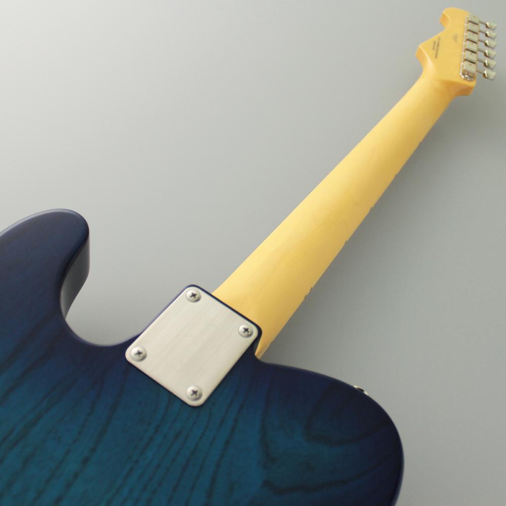 FUJIGEN(FGN) Neo Classic NTE Series NTE100MAH-SBB (See-Thru Blue