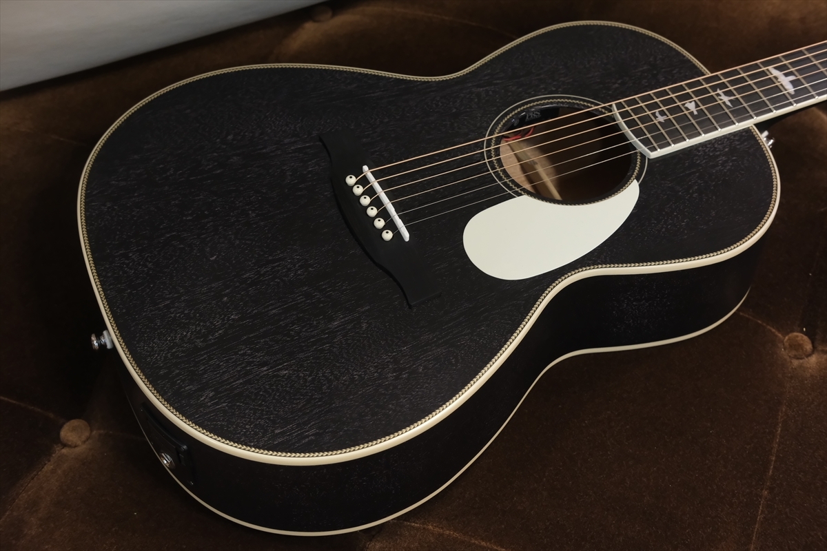 Paul Reed Smith(PRS) SE P20E Parlor with Fishman / Dog Hair 2023年