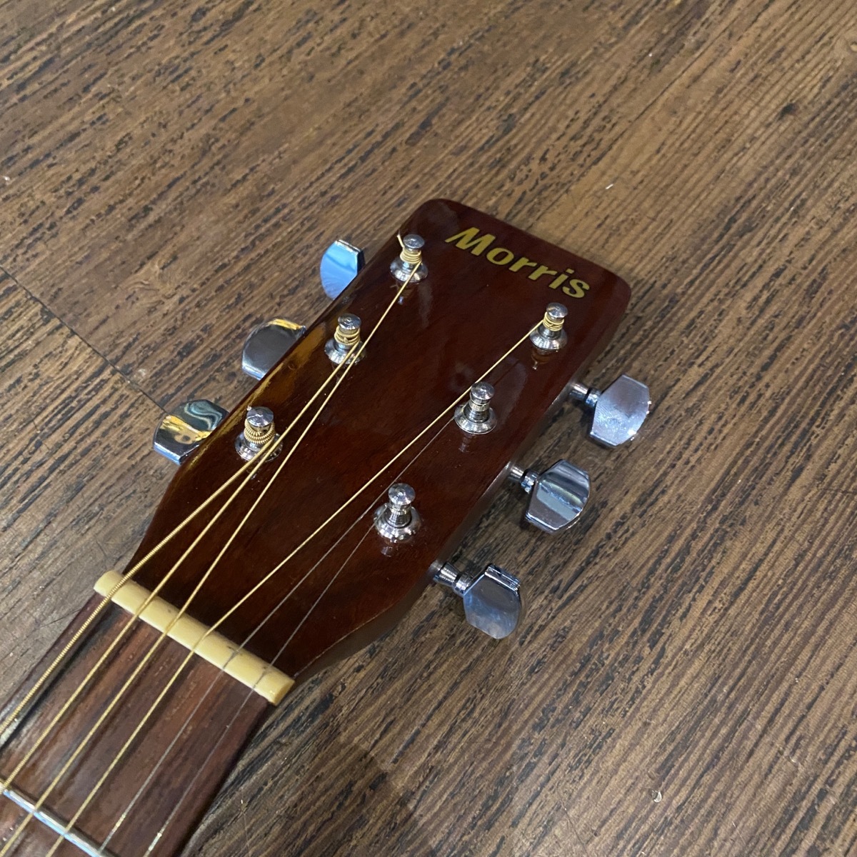 Morris MD-502 Acoustic Guitar（中古/送料無料）【楽器検索デジマート】
