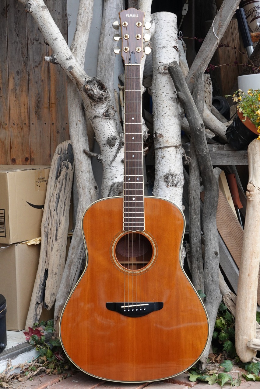 YAMAHA.LA-17トップ、バック単板! ハードケース付き YAMAHA.LA-17