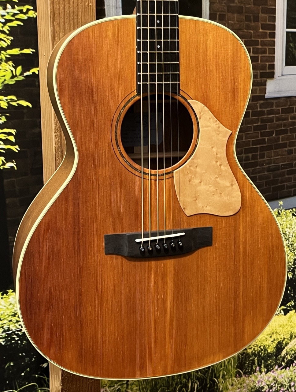 Vincent VN-30Blues HC付 Fishman後付け Vincent VN-30Blues HC付