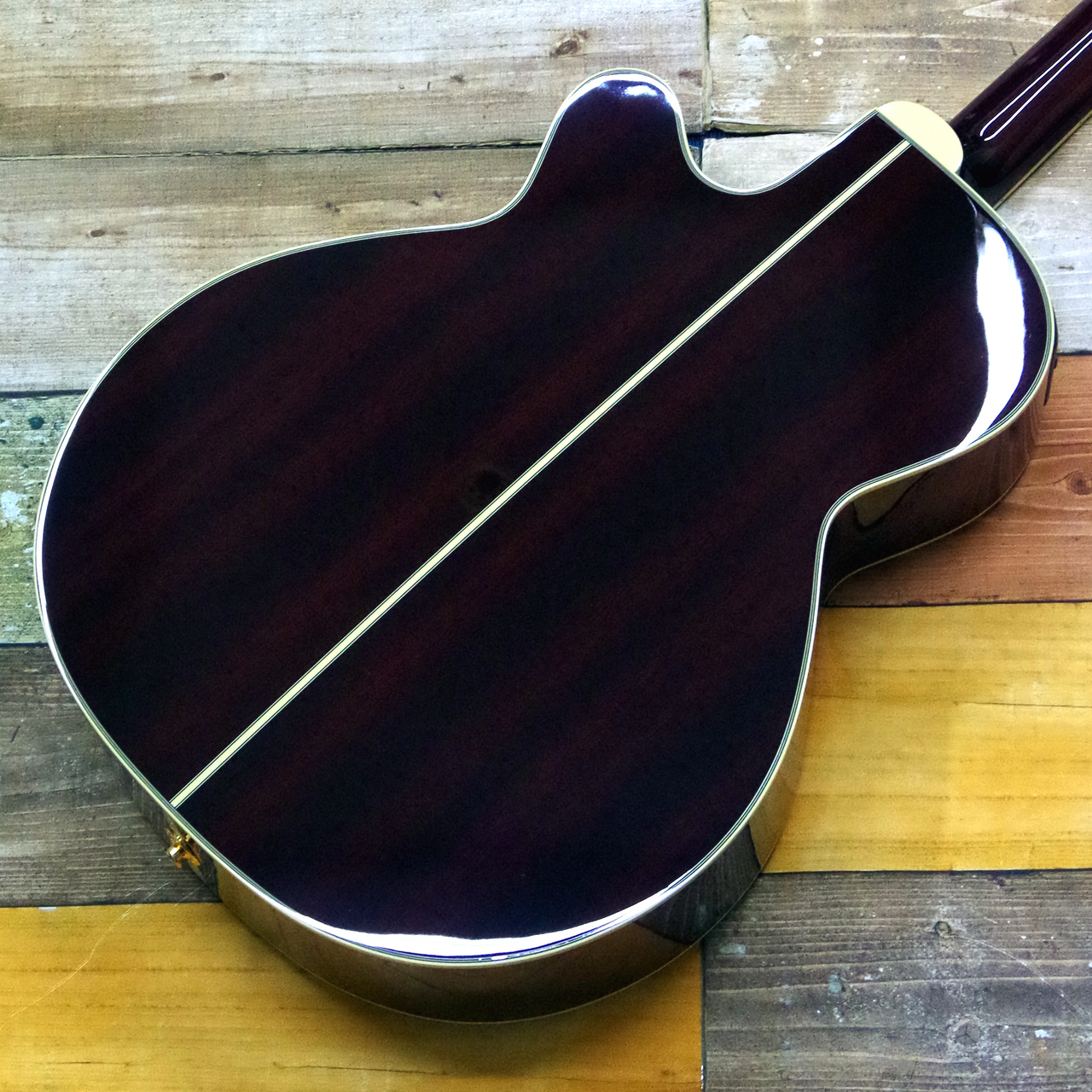 Takamine DMP551C WR（新品）【楽器検索デジマート】